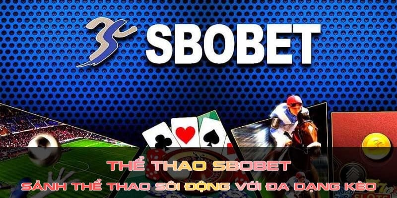 Sảnh thể thao SBO cực sôi động